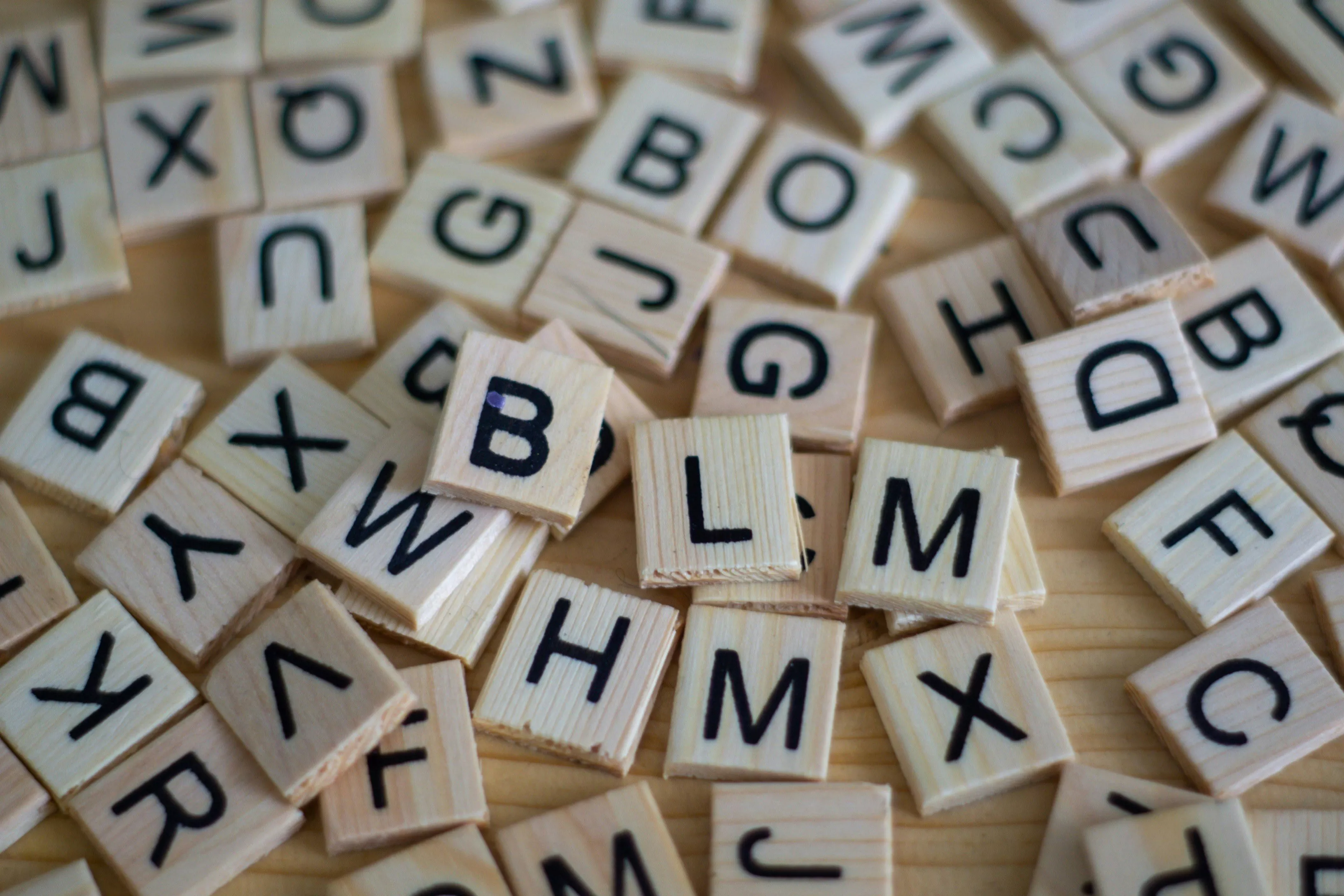 sven-brandsma-C5SUkYZT7nU-unsplash