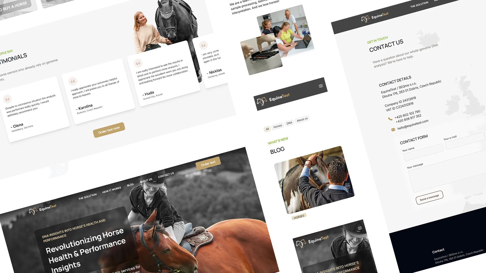 equinetest-layout